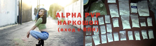 spice Богородск