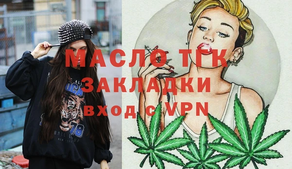 гашик Михайловка