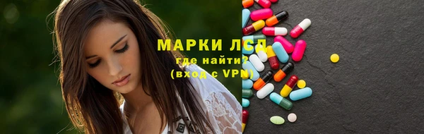 стаф Медногорск