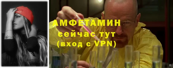 стаф Медногорск