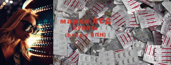 прущие грибы Новый Уренгой