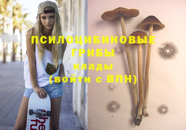 винт Михайлов