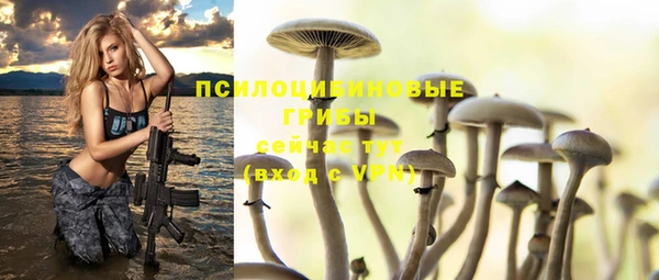 винт Михайлов